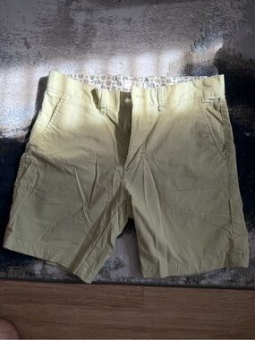 Denim & Flower Men's Chino Shorts in Pale green